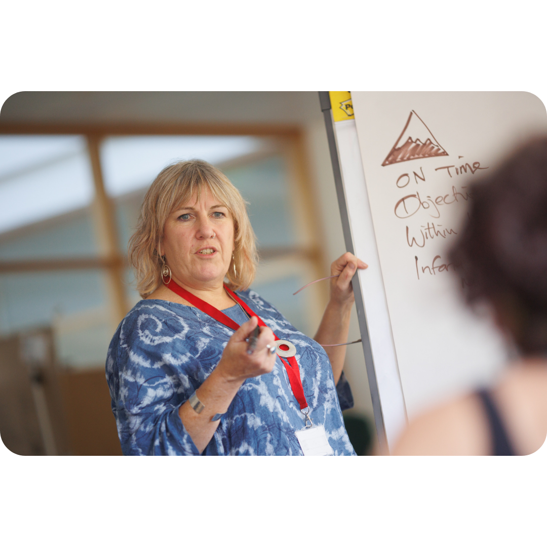 Educator leading a PD session, explaining concepts on a whiteboard
